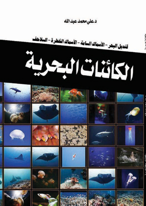 الكائنات البحرية بين الجمال اللاسع والرقة السامة