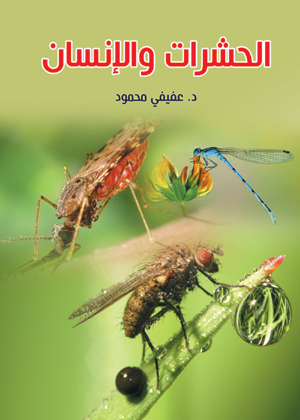 الحشرات والإنسان